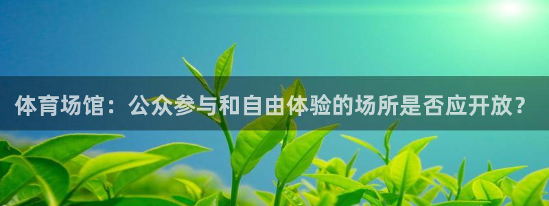 中欧制造升级混合c是什么基金