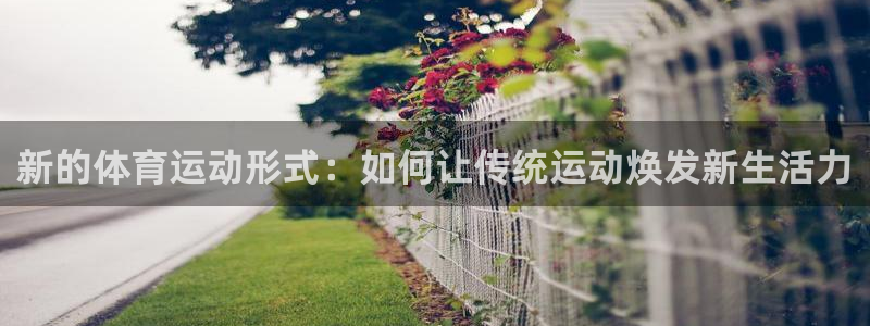 中欧瑾通灵活配置混合c怎么样：新的体育运动形式：如何让传统运动焕发新生活力