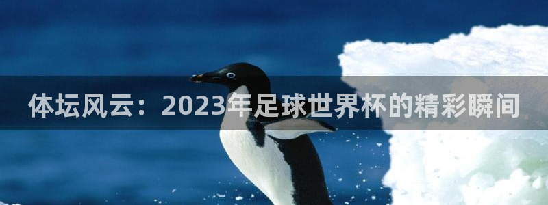 中欧人