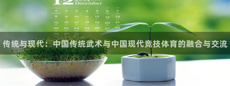 中欧医疗健康混合基金 c