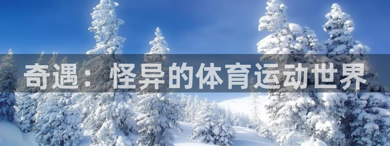 中欧MiM硕士