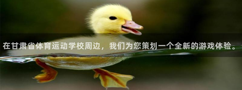 中欧体育集团：在甘肃省体育运动学校周边，我们为您策划一个全新的游戏体验。