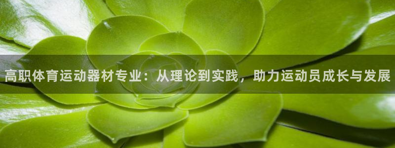 中欧资源精选混合c估值：高职体育运动器材专业：从理论到实践，助力运动员成长与发展