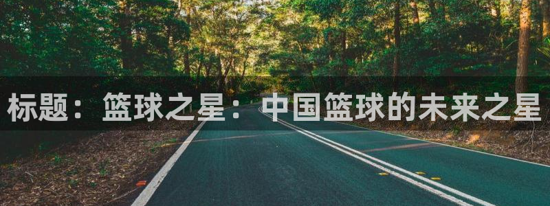 中欧欧洲法国际组织后备人才培养项目：标题：篮球之星：中国篮球的未来之星