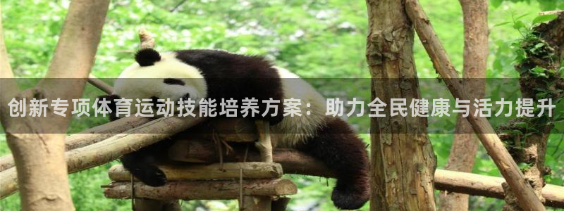 中欧健康医疗混合a：创新专项体育运动技能培养方案：助力全民健康与活力提升