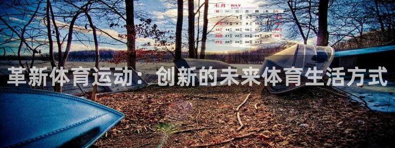 中欧c今天最新净值查询：革新体育运动：创新的未来体育生活方式