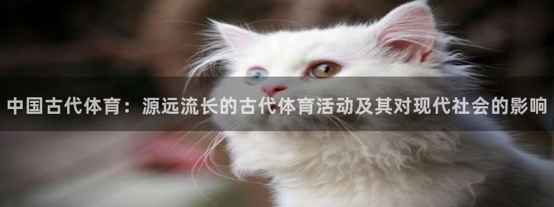 中欧五国联盟：中国古代体育：源远流长的古代体育活动及其对现代社会的影响