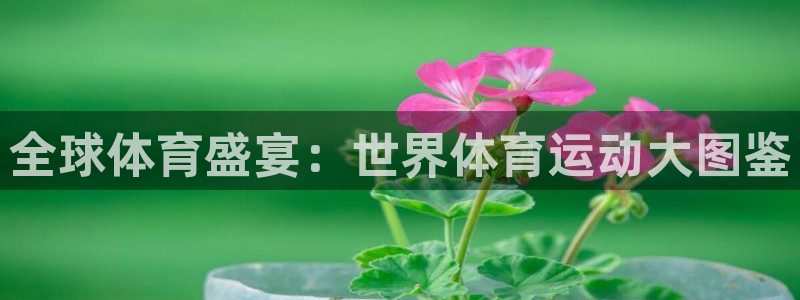 zyty中欧体育平台：全球体育盛宴：世界体育运动大图鉴