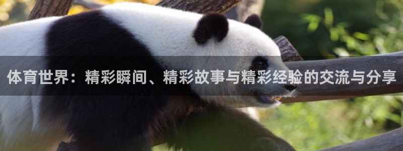 中欧c今天最新净值是多少